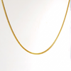 The  Snake Chain