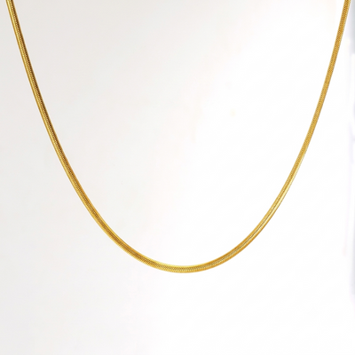 The  Snake Chain