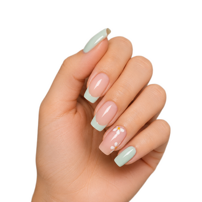 MINT DAISY FRENCH